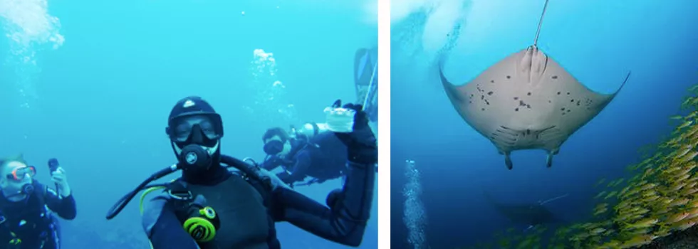 Best Scuba Dive Hilo