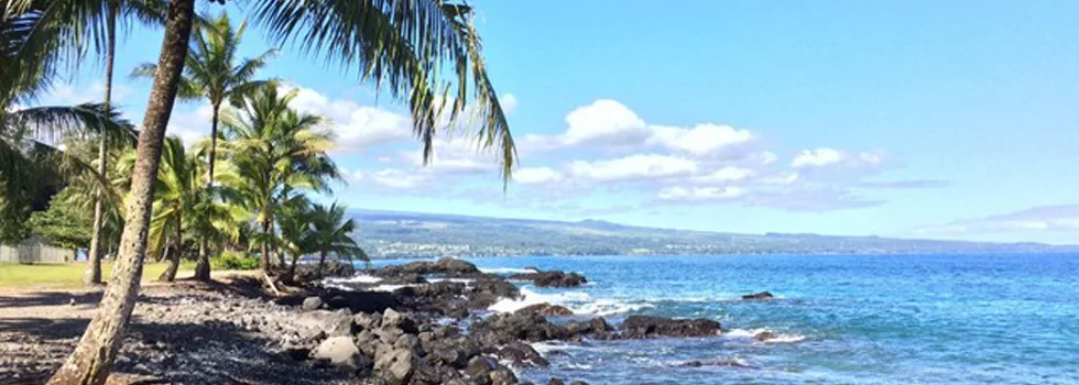Hilo Snorkel Tour