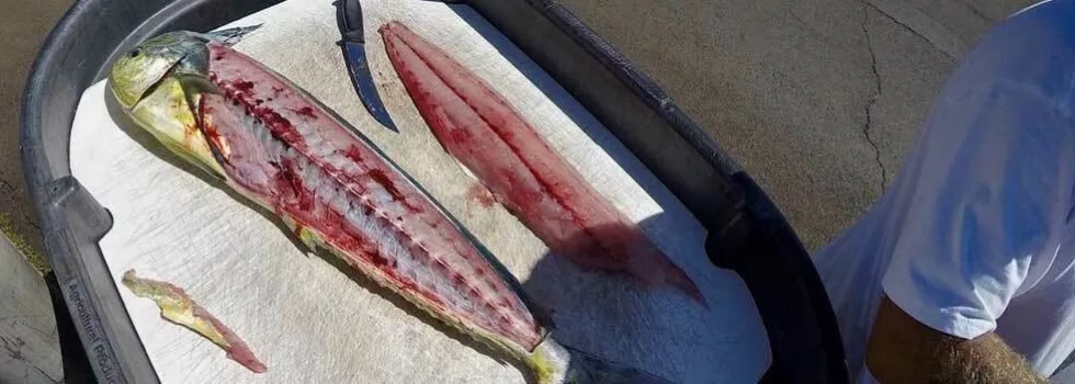 Hilo deep sea fishing charter