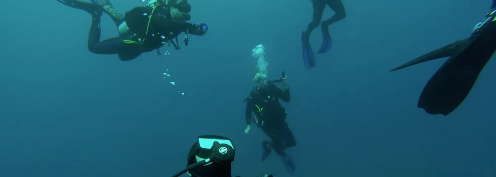 Scuba Certified Dive Hilo