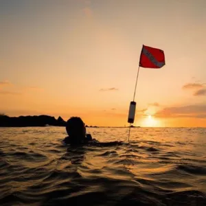 Hilo Night Scuba Dive Tour