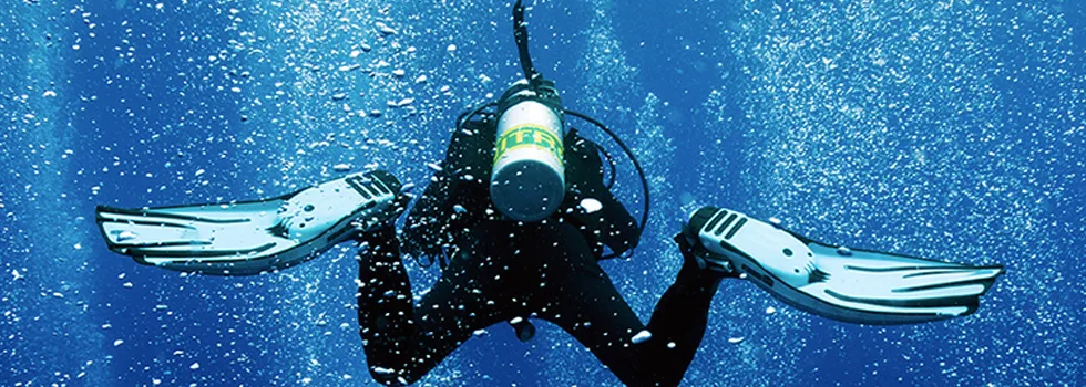 Learn To Scuba Dive Hilo Hawaii