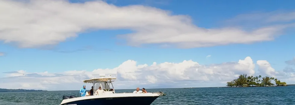 Whale watching boat in hilo