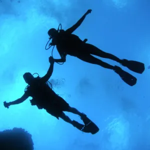 Learn to Scuba Dive in Hilo