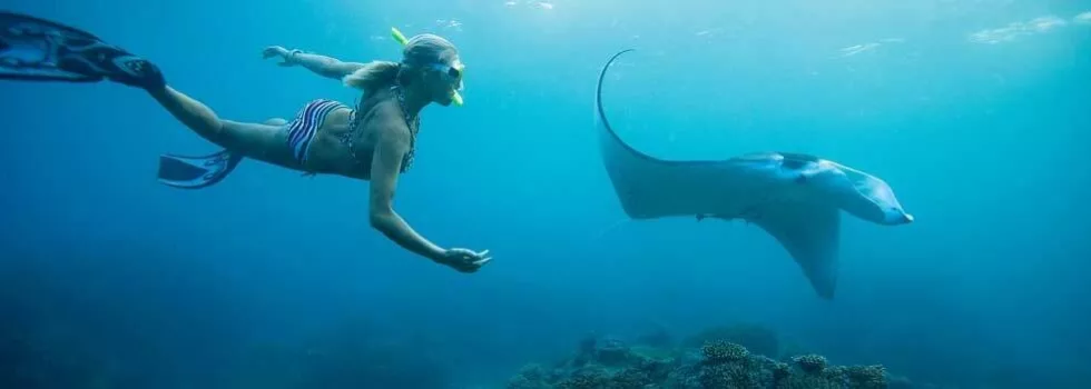 Snorkel manta rays kona