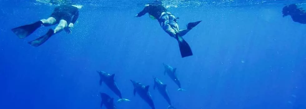 Zodiac dolphin tour kona