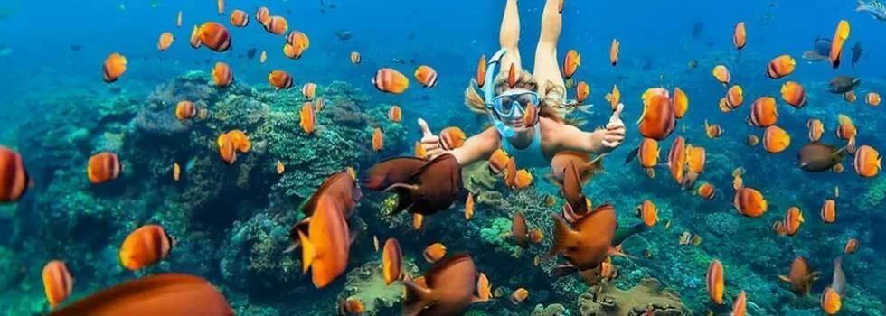 Zodiac kealakekua boat