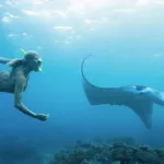 Zodiac manta snorkel thumb