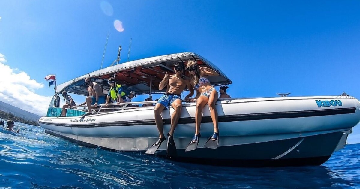 Kona Dolphin Watch and Snorkeling Boat BBQ Lunch Included Adventure