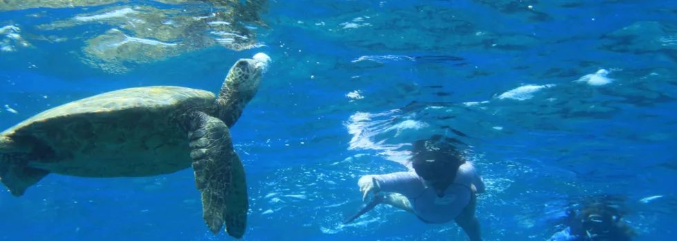 Kona Turtle Snorkel boat