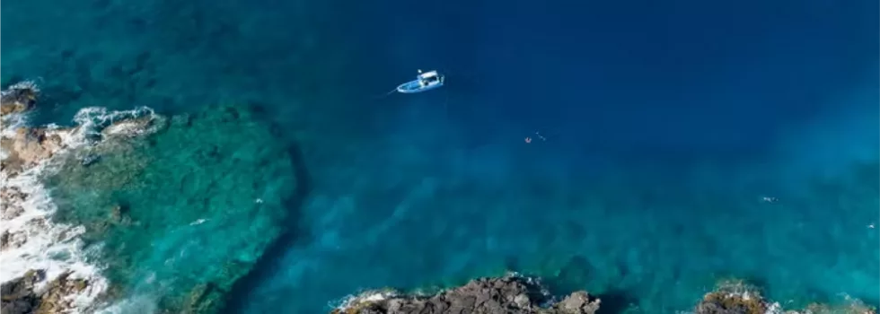 Kona dolphin boat snorkel spot