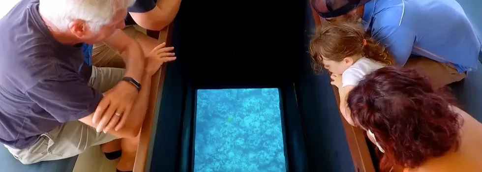 Kona coral reef tour