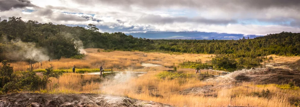 Sulphur banks tour volcano