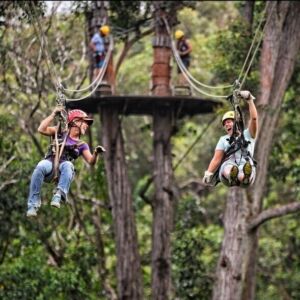 Zipline in North Kohala
