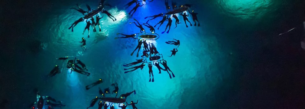 Private Manta Ray Boat Snorkel