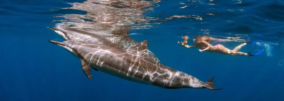 Custom-boat-tour-kona