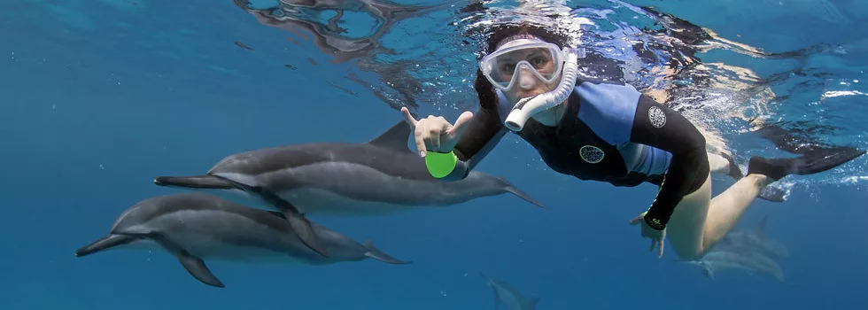 Private-boat-dolphin-snorkeling