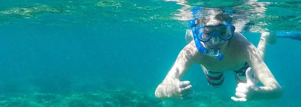 Snorkeling captain cook kona