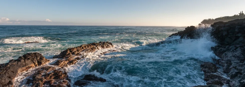 South kona cliffs snorkel tour