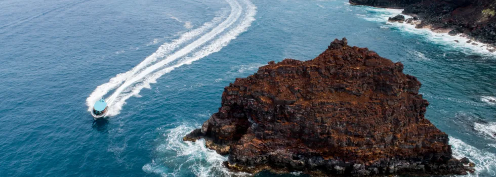 South kona sea cliff snorkel tour