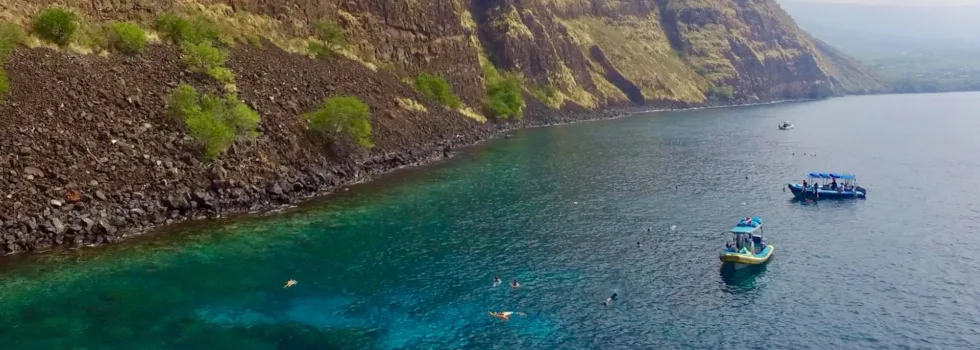 South wall kealakekua bay snorkeling