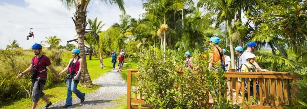 Zipline bridge cross hawaii
