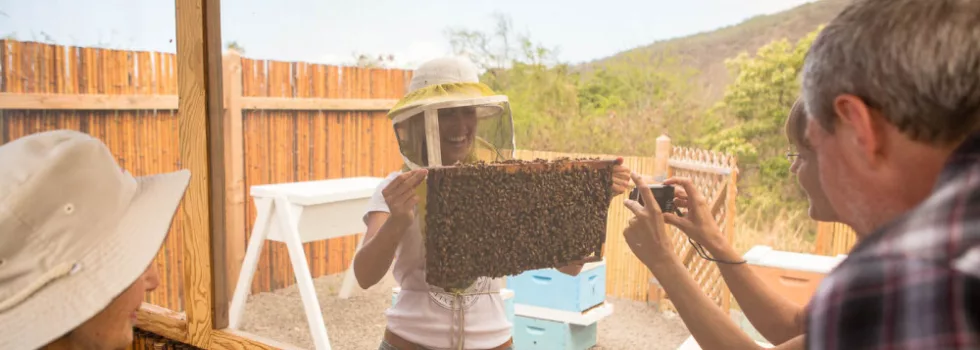 Visit bee farm hawaii