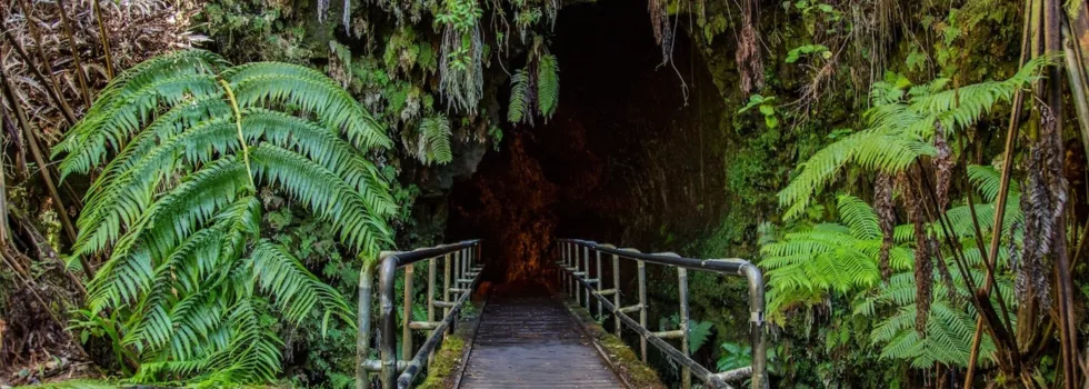 Thurston lava tube tour