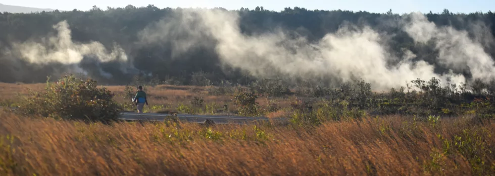 Sulphur banks tour hawaii