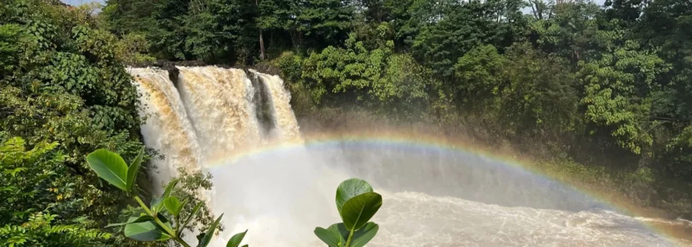 Private tour of hilo waterfalls
