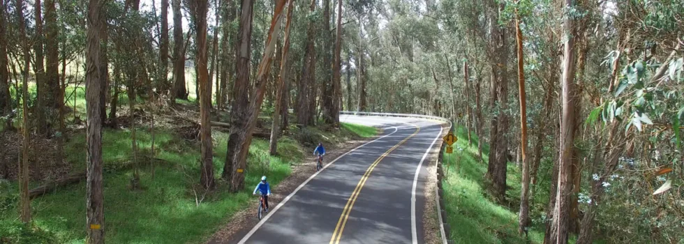 Eucalyptus riding bike maui