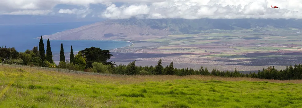 Upcountry maui
