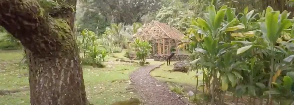 Lyon arboretum hawaii hale
