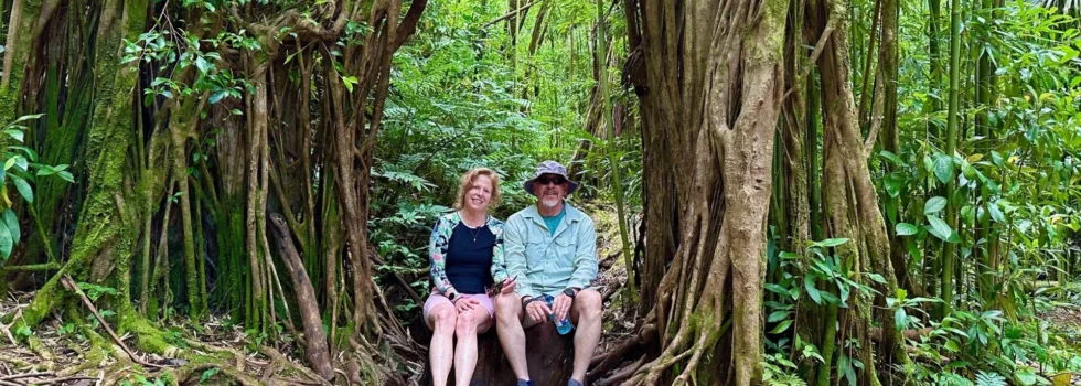 Sitting under banyan arch manoa falls trail