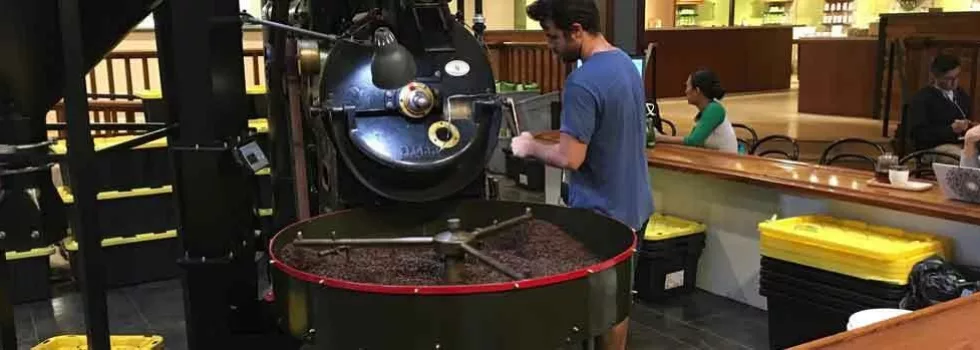 Bike food tour hawaii