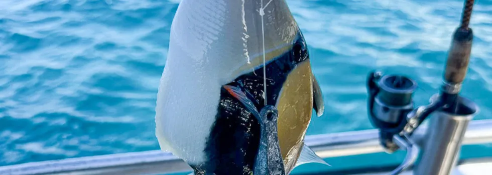 Fishing for humuhumunukunukuapuaa waikiki