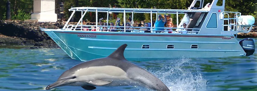 Captain cook snorkel kona