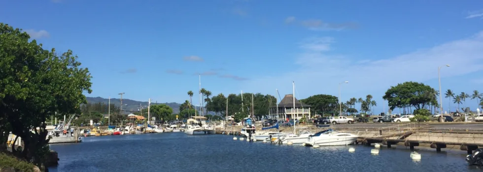 Haleiwa harbor behind joes
