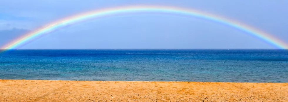 Maui fire recovery travel