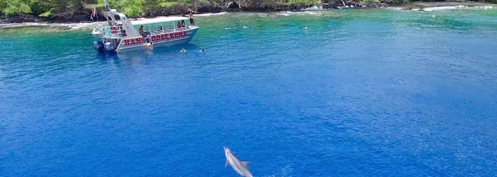 Kealakekau snorkel tour