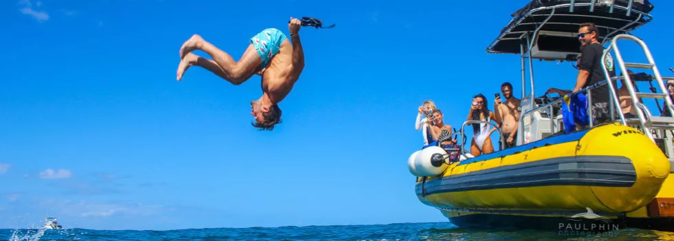 Dolphin boat jump oahu