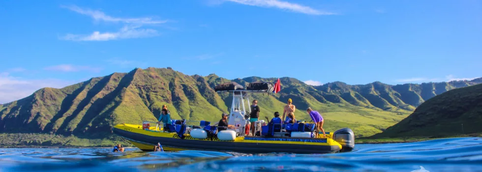 Dolphin boat oahu hawaii
