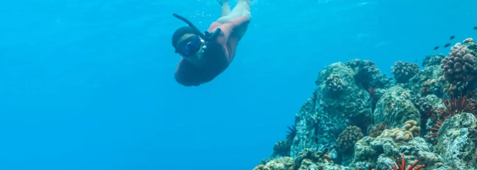 Snorkeling makaha