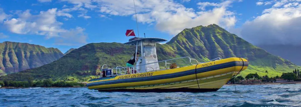 West oahu dolphin boat