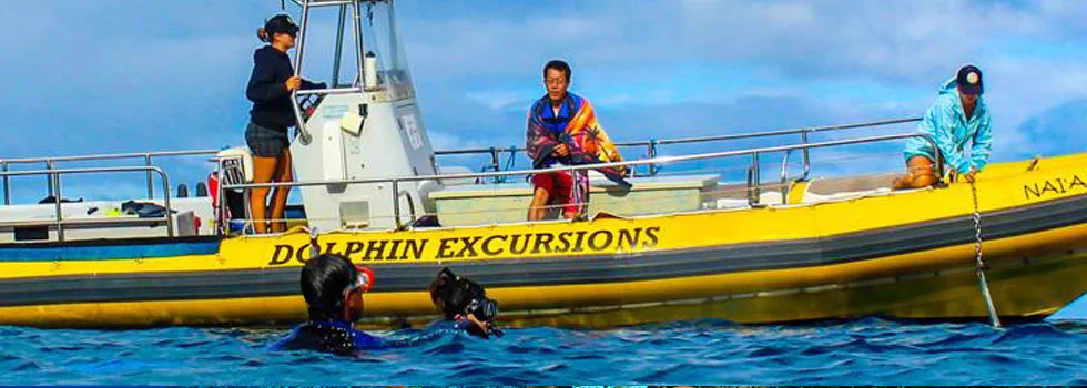 Best Dolphin Tour On Oahu