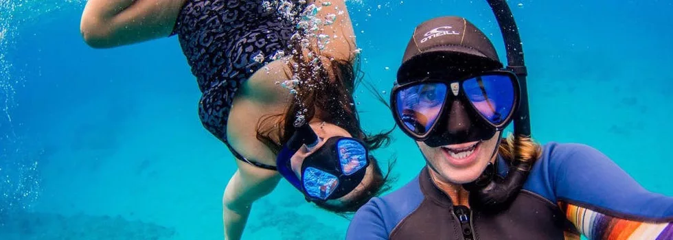 ナチュラル　マリンスノー　検索）ローカル　トップブリッジ　エニードープ　ニンナ Swim with Dolphin & Snorkeling Adventure in Hurghada | Kenzly