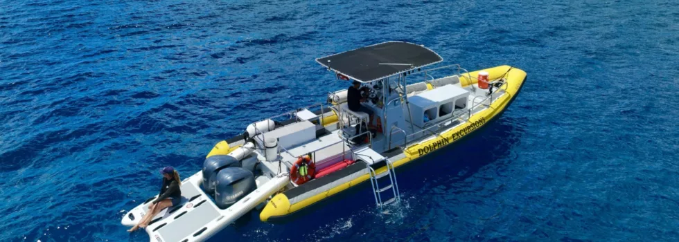 West oahu whale watch boat