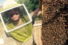 Beekeeping and Honey Tasting Tour: Visit honey farm bee hawaii