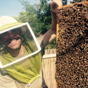 Beekeeping and Honey Tasting Tour