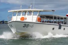 Pearl Harbor Historic Sites Tour: Pearl harbor early tour thumb